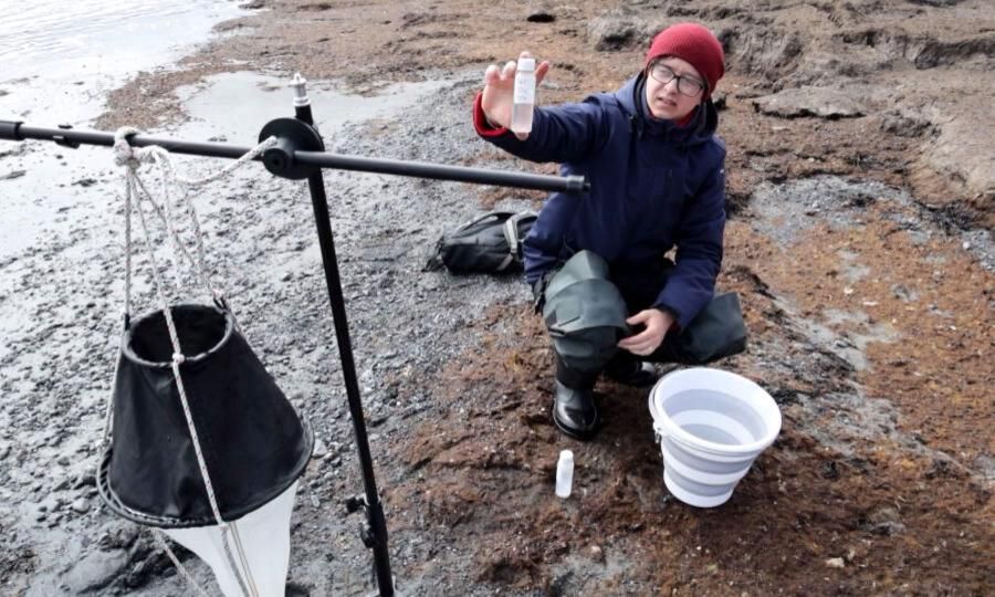 Богатый  улов неизученных ранее зоопланктона и насекомых привезли из Арктики магистранты САФУ