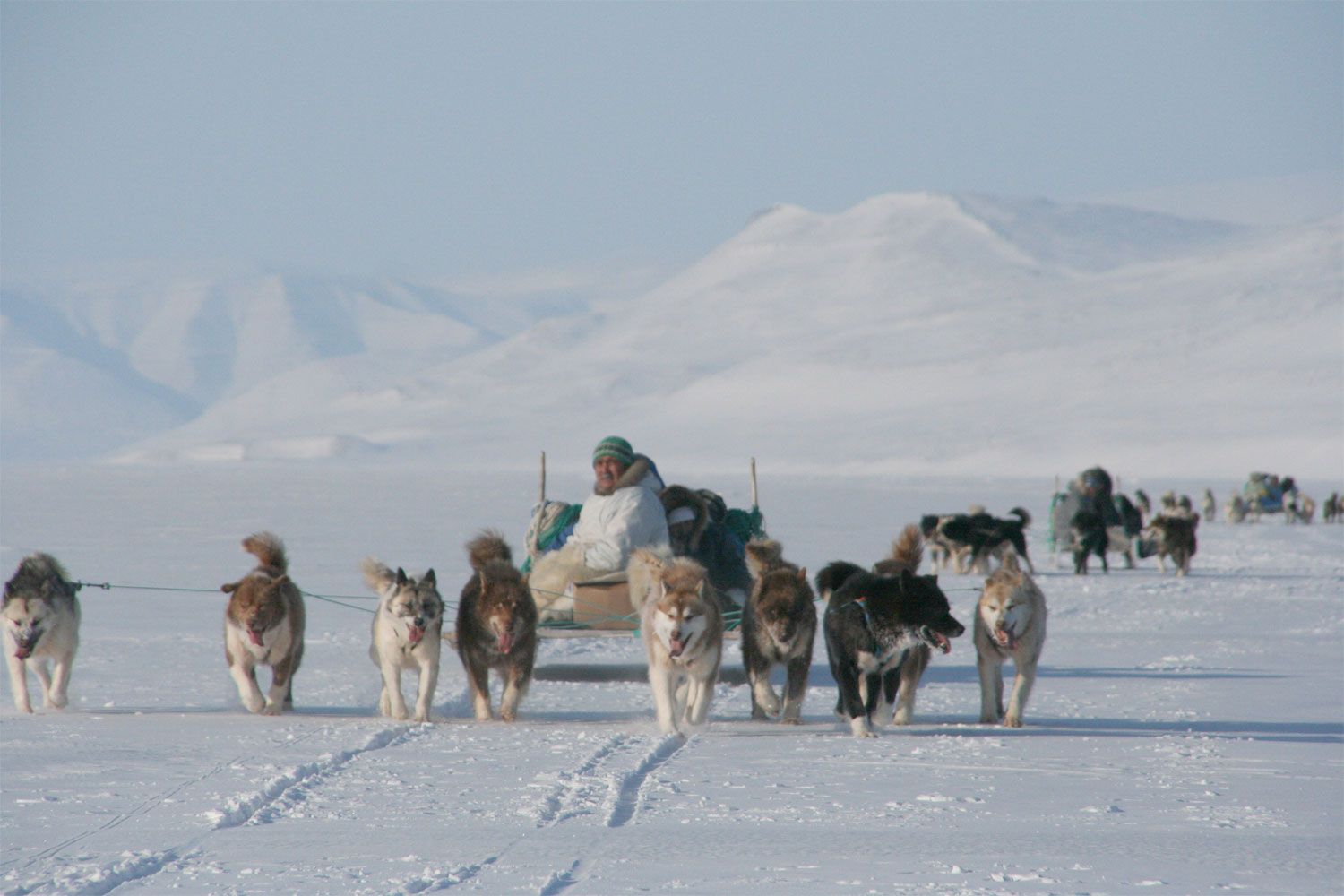 Этноэкспертизу добывающих проектов в Арктике планируют узаконить в России