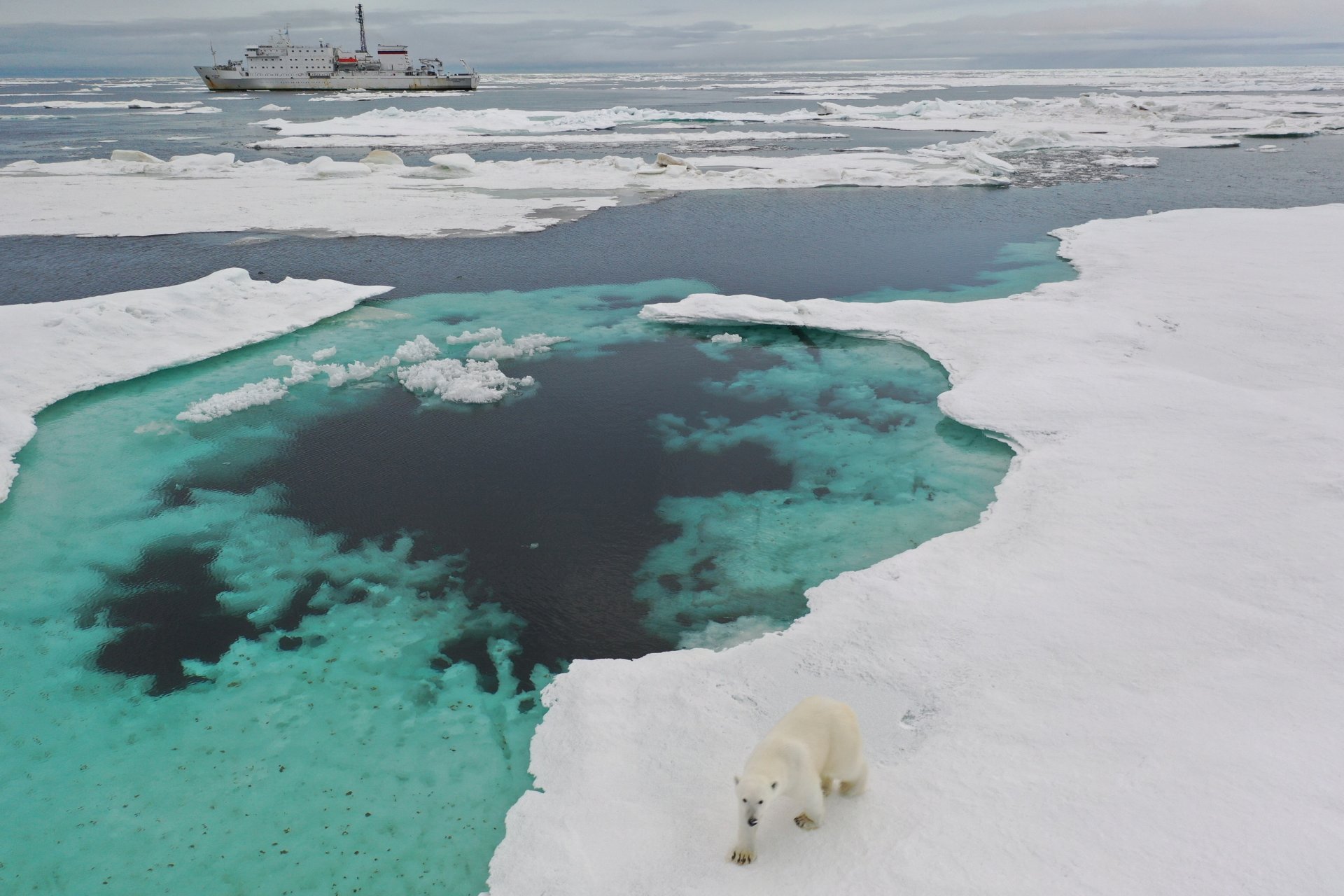 Неизвестные ранее течения, влияющие на тепловой баланс морей российской Арктики, обнаружили океанологи