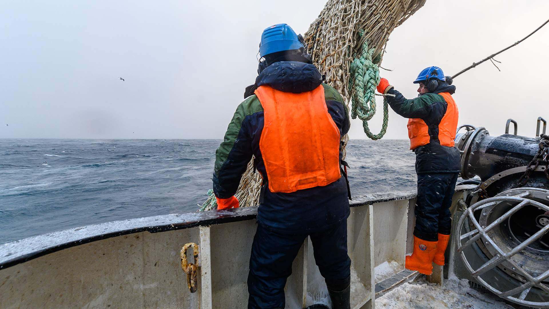 Россия запретит Великобритании вылов рыбы в Баренцевом море