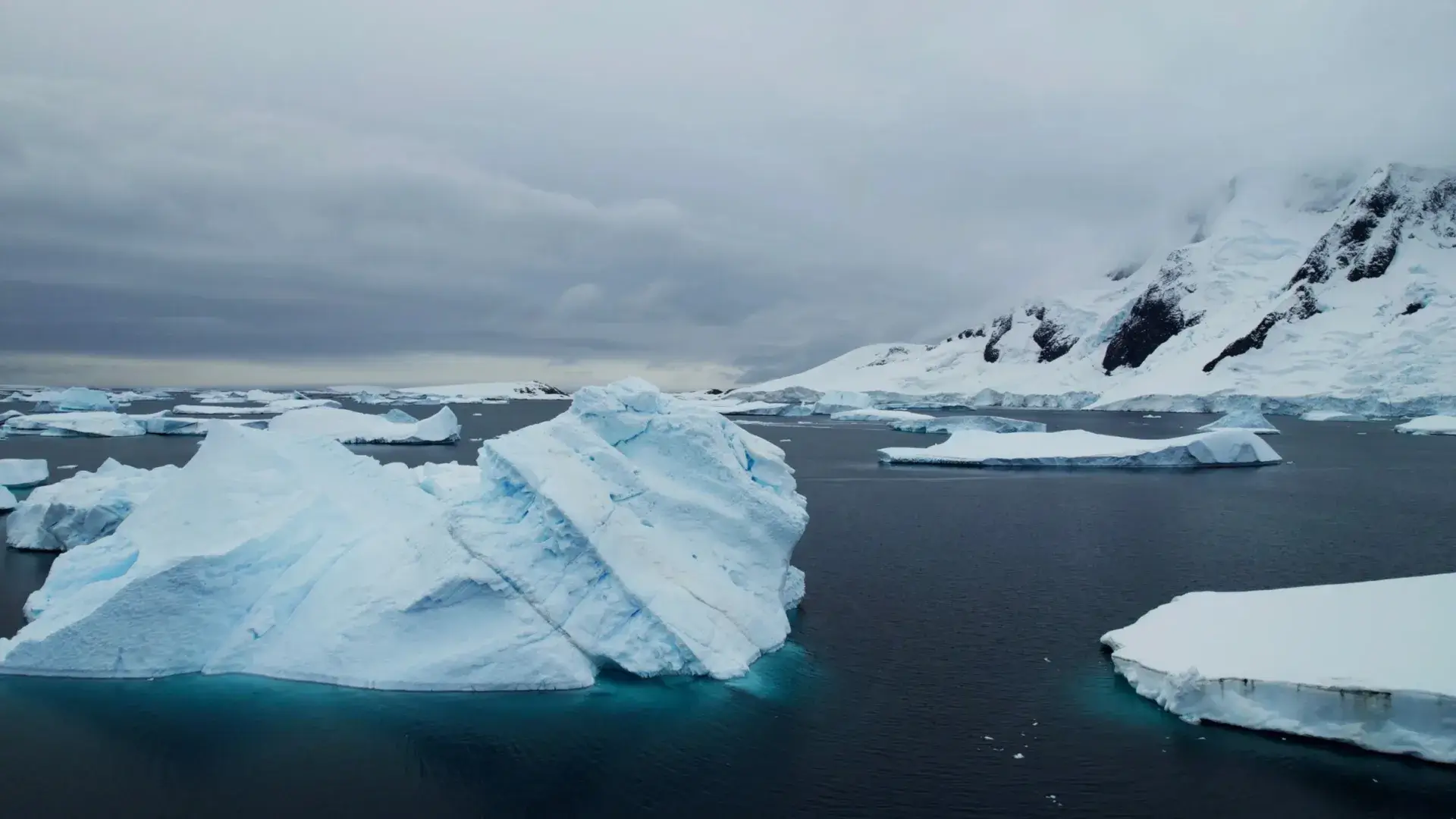 В 2025 году стартует образовательная программа об Арктике