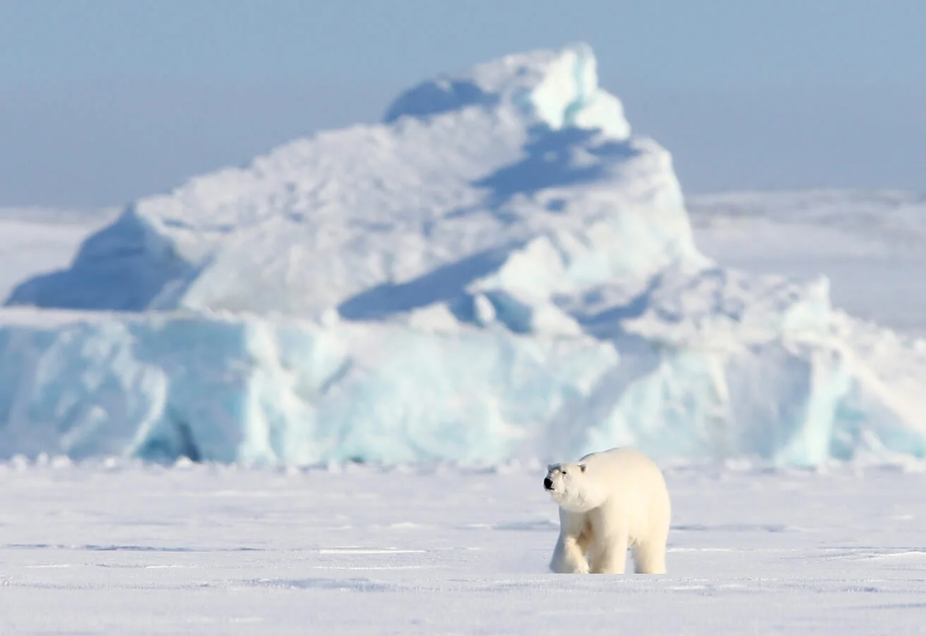 Поправки в закон о госгранице коснутся вопросов изучения Арктики