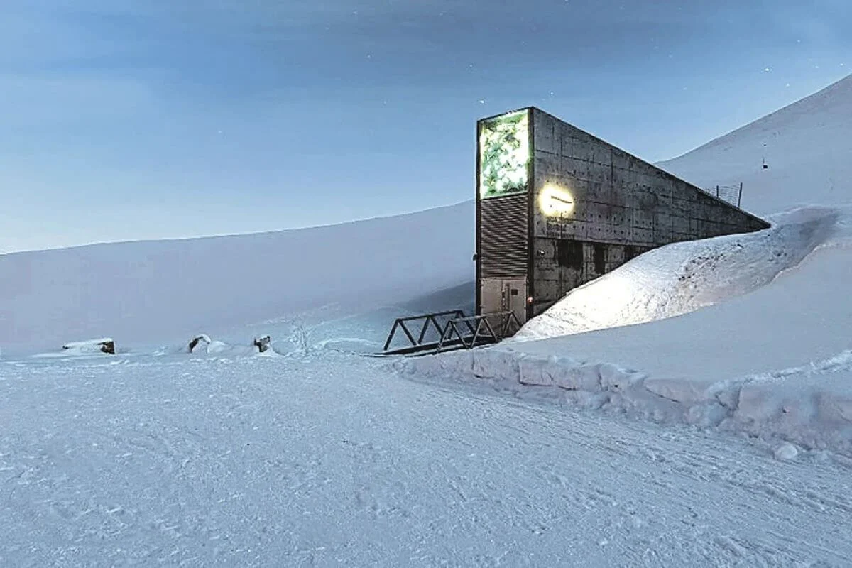 Всемирное семенохранилище на Шпицбергене пополнилось новыми запасами