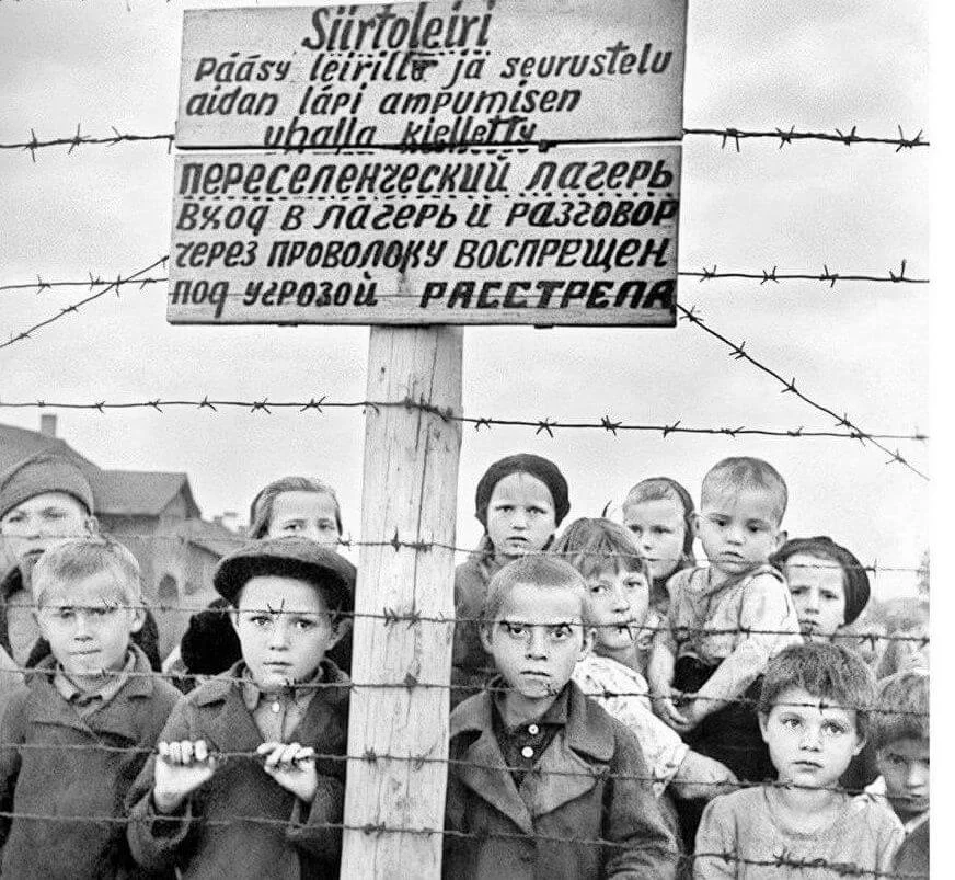 Прокуратура Карелии подала в суд по факту геноцида советского народа в годы Великой Отечественной войны