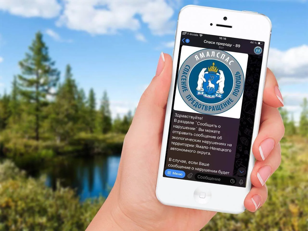 В ЯНАО создали телеграм-бот для регистрации нарушений в области экологии